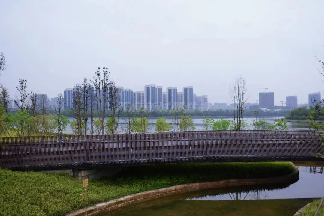 怡心湖片区即将迎来“高光时刻”